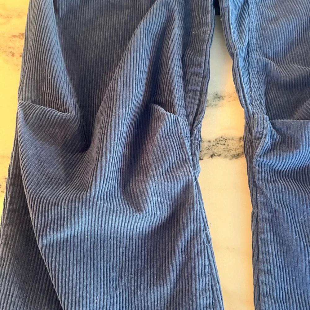 We The Free | Free People Blue Corduroy Pants XS Wide Leg Drawstring Waist - Picture 5 of 9